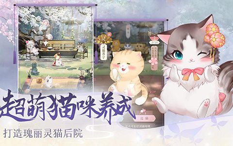 灵猫传兑换码大全(灵猫传珍品灵猫多少只)