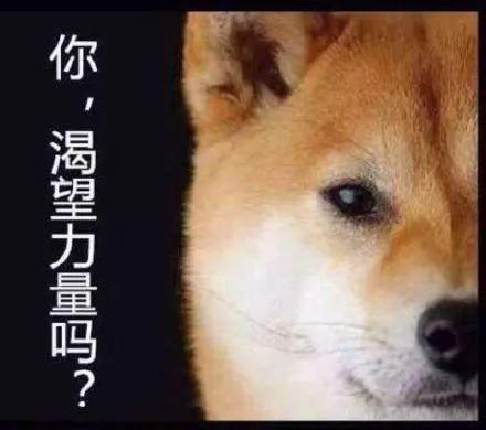 十大沙雕碰瓷排行榜图(沙雕动画碰瓷)插图14