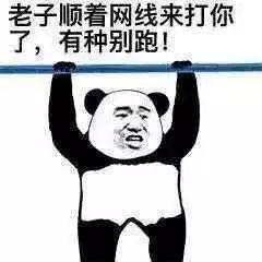 十大沙雕碰瓷排行榜图(沙雕动画碰瓷)插图7