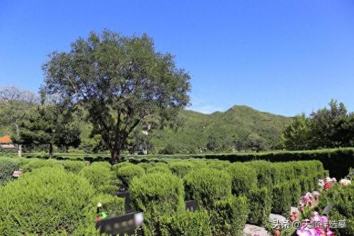 昌平公墓陵园排名前十的是(昌平区最好的陵园)插图1