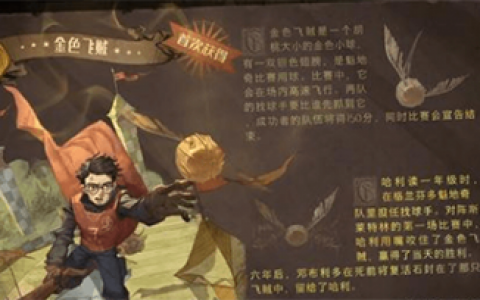 哈利波特魔法觉醒魁地奇怎么射门(哈利波特魔法觉醒决斗时怎么走位)