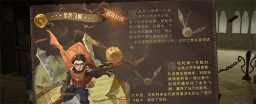 哈利波特魔法觉醒魁地奇怎么射门(哈利波特魔法觉醒决斗时怎么走位)插图