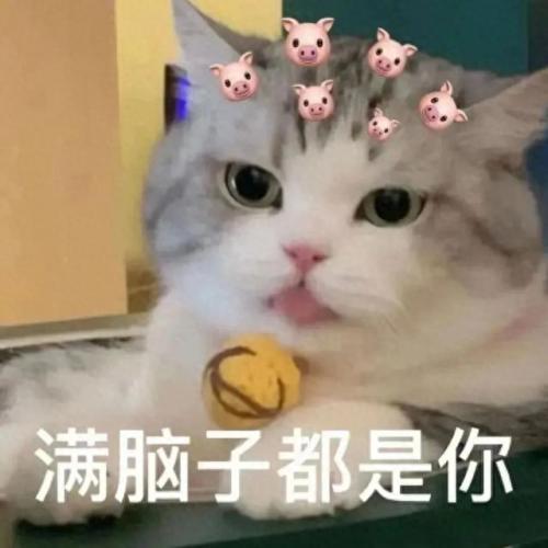 十大奢侈品杯子排行榜图片(纸杯子十大品牌排行榜)插图1