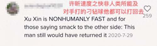 国外乒乓球播放量排名前十(排名前十的乒乓球)插图25