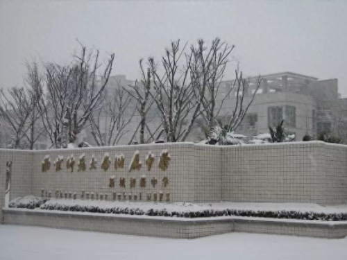 南京初级中学学校排名前十(南京市前十名初中学校)插图11