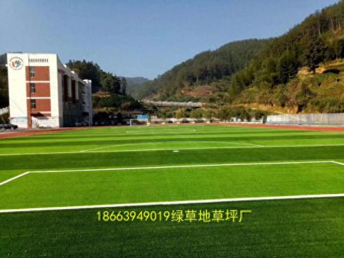 人工草坪生产厂家排名前十(人造草坪的厂家排名)插图