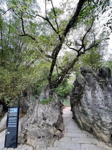 广西最奇葩的古镇排名前十(广西十大隐秘古镇)插图14