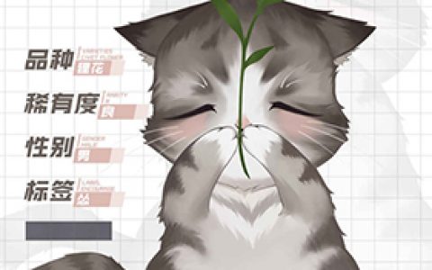 灵猫传狸怂怂怎么样(灵猫传排行榜在哪)
