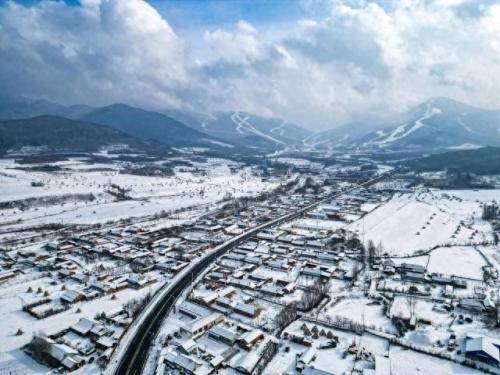 冰上运动实力排名前十(冰雪运动省队排名前十)插图3