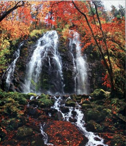 吉林省红色景区排名前十(吉林大龙湾景区)插图30