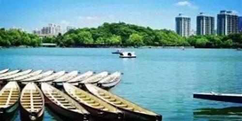 宜阳北欧室内门排名前十(宜阳室内门)插图44