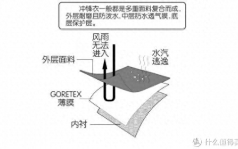户外洗衣机排行榜十大品牌(口碑最好洗衣机品牌)