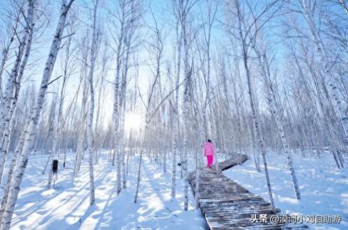 漠河旅游景点排名榜前十(漠河必去景点排名第一)插图