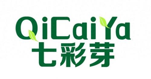 童衣旗舰店排名前十(大童女装品牌旗舰店)插图