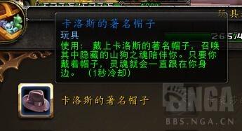 wow 板甲幻化(wow板甲白色肩膀幻化)插图4