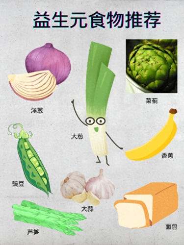食品益生菌的十大排行榜(益生菌10大排名)插图1
