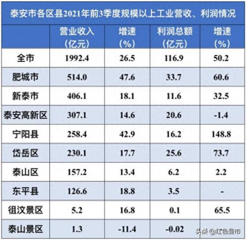泰安工业园区企业排名前十(泰安十大高端企业)插图2