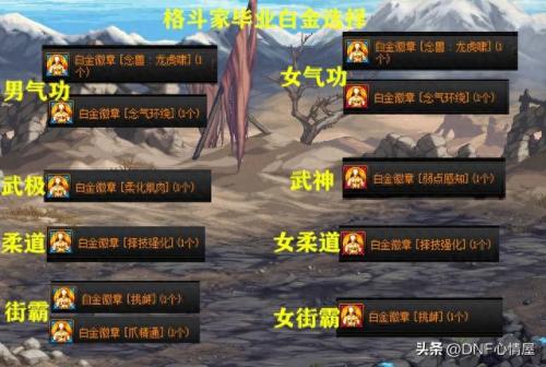 dnf白金徽章怎么镶嵌(白金徽章镶嵌在哪)插图3