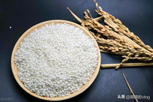 谁是最好吃的大米排名前十(全国十大最好吃大米排行榜)插图3