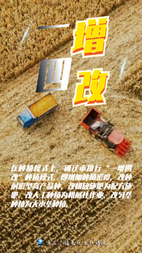 内蒙古玉米品牌排名前十(内蒙古燕麦片的品牌)插图3