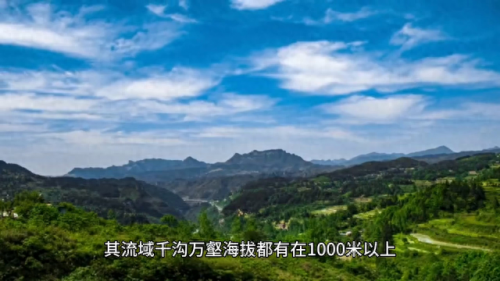 中国十大流行曲排行榜(2017中国十大流行歌曲)插图3