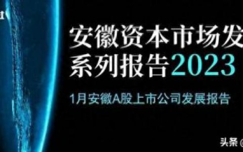 合肥芜湖市值排名前十(合肥企业市值排行榜)