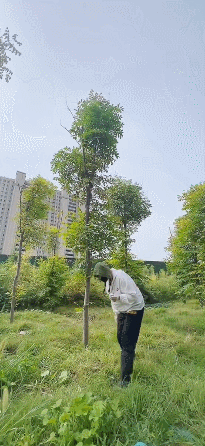 中国十大美甲大师排行榜(中国最顶级的美甲师)插图5