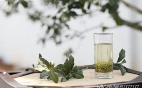 口碑最高的茶叶排行榜十大(茶叶行情app排行榜)