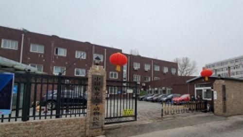 北京十大动物医院排行榜(北京动物医院排行)插图6