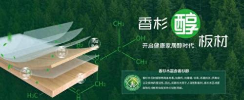 原木十大定制品牌排行榜(定制床垫十大品牌)插图6