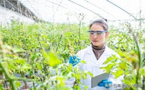 十大农村好学校排行榜山东(2020山东最好民办学校排名)