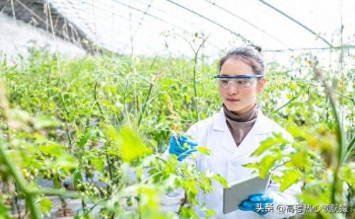 十大农村好学校排行榜山东(2020山东最好民办学校排名)插图