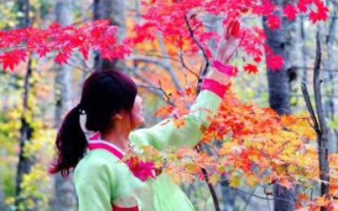 吉林省红色景区排名前十(吉林大龙湾景区)