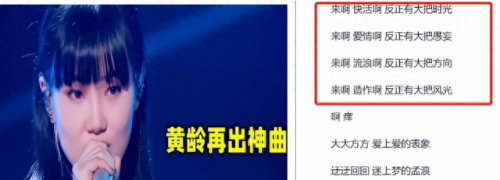 十大网络歌曲神曲排行榜(十大网络神曲最火歌曲完整)插图11