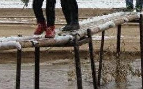 鲁西南十大小学排行榜图片(南部最好的小学排行榜)