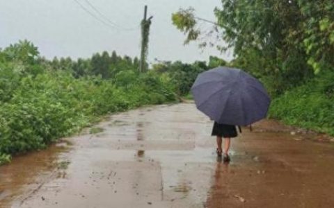 全国前十小学排名榜(全国排名前五的小学)