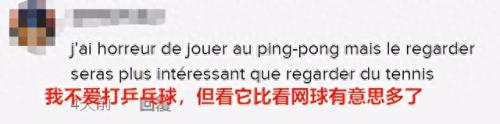 国外乒乓球播放量排名前十(排名前十的乒乓球)插图15