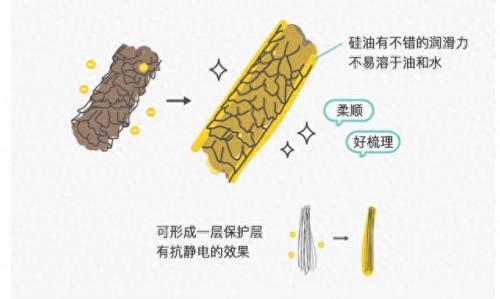 十大洗发水排行榜小红书(十大最建议买的男生洗发水)插图3