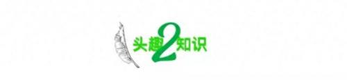 世界最危险便利店排名前十(世界十大危险的地方)插图4