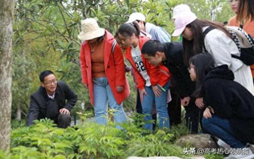 十大农村好学校排行榜山东(2020山东最好民办学校排名)插图2