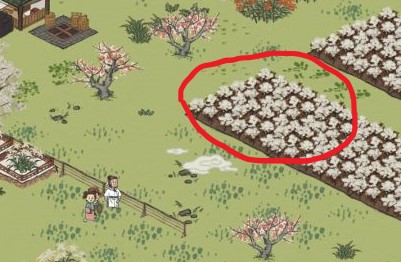 江南百景图天然棉怎么得到(江南百景图玉石原料怎么获得)插图