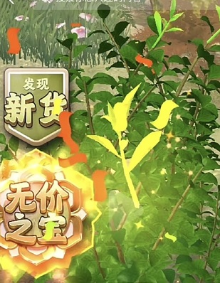 夺笋高手婺源茗眉怎么获得(婺源哪里拔笋)插图1