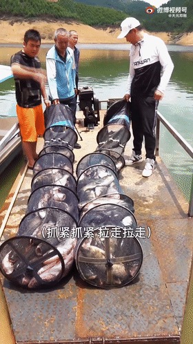 抖音十大鱼线排行榜(口碑最好十大鱼线)插图3