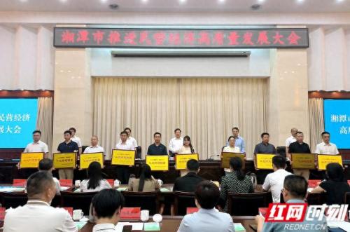 湘潭市民营经济排名前十(湘潭全国经济排名)插图