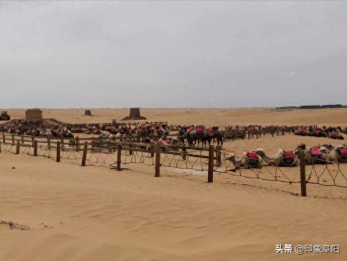 宁夏沙漠旅行团排名前十(宁夏有品质的旅游团有哪些)插图1