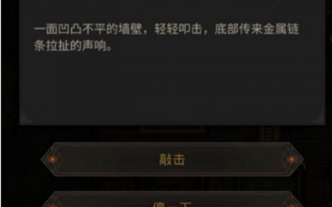 地下城堡3异样的墙壁怎么过(地下城堡3萨古罗斯打法)