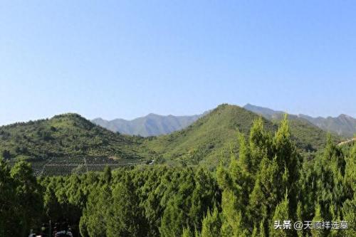 昌平公墓陵园排名前十的是(昌平区最好的陵园)插图2