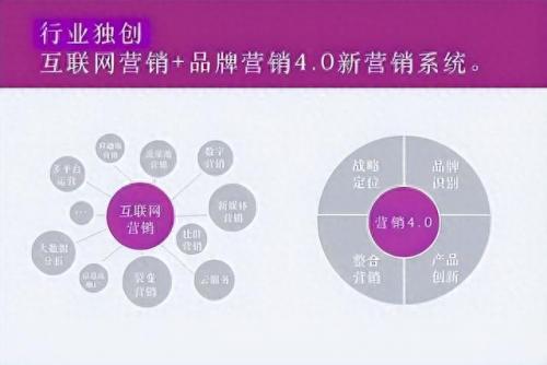 国际营销策划公司排名前十(外国有哪些营销策划公司)插图7