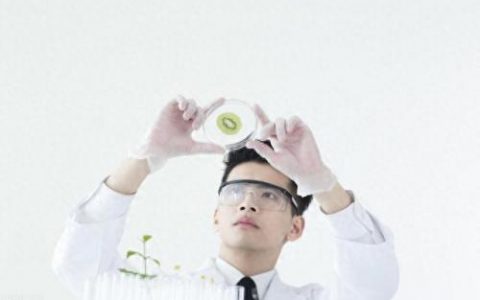 世界国家最强武器排名前十(世界威力最大的武器排名)