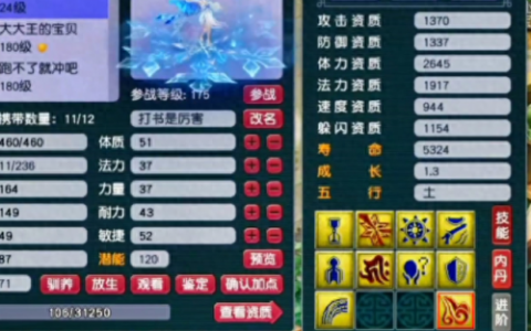 梦幻西游新宠图片(梦幻西游新宠介绍)